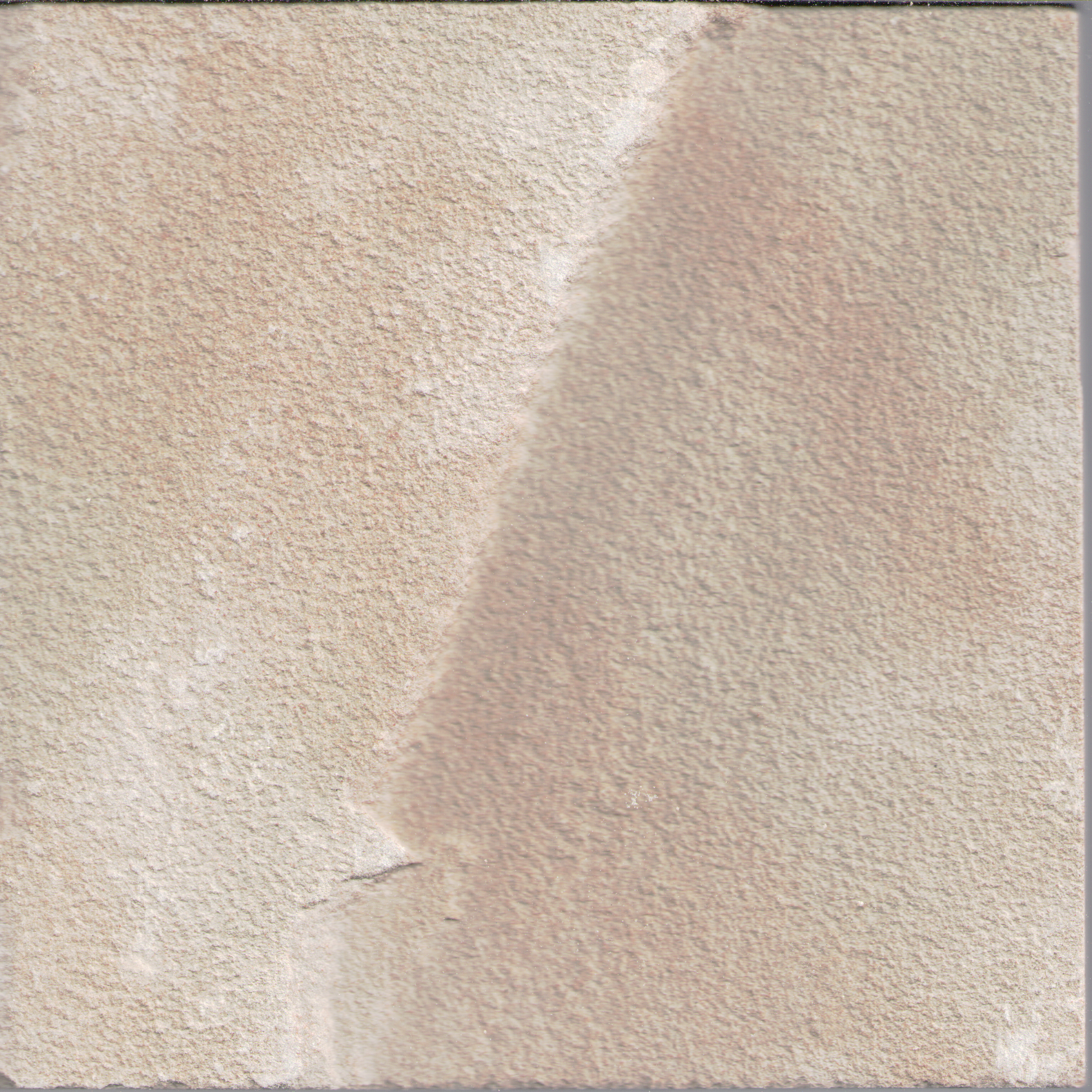 Fossil Mint Sandstone